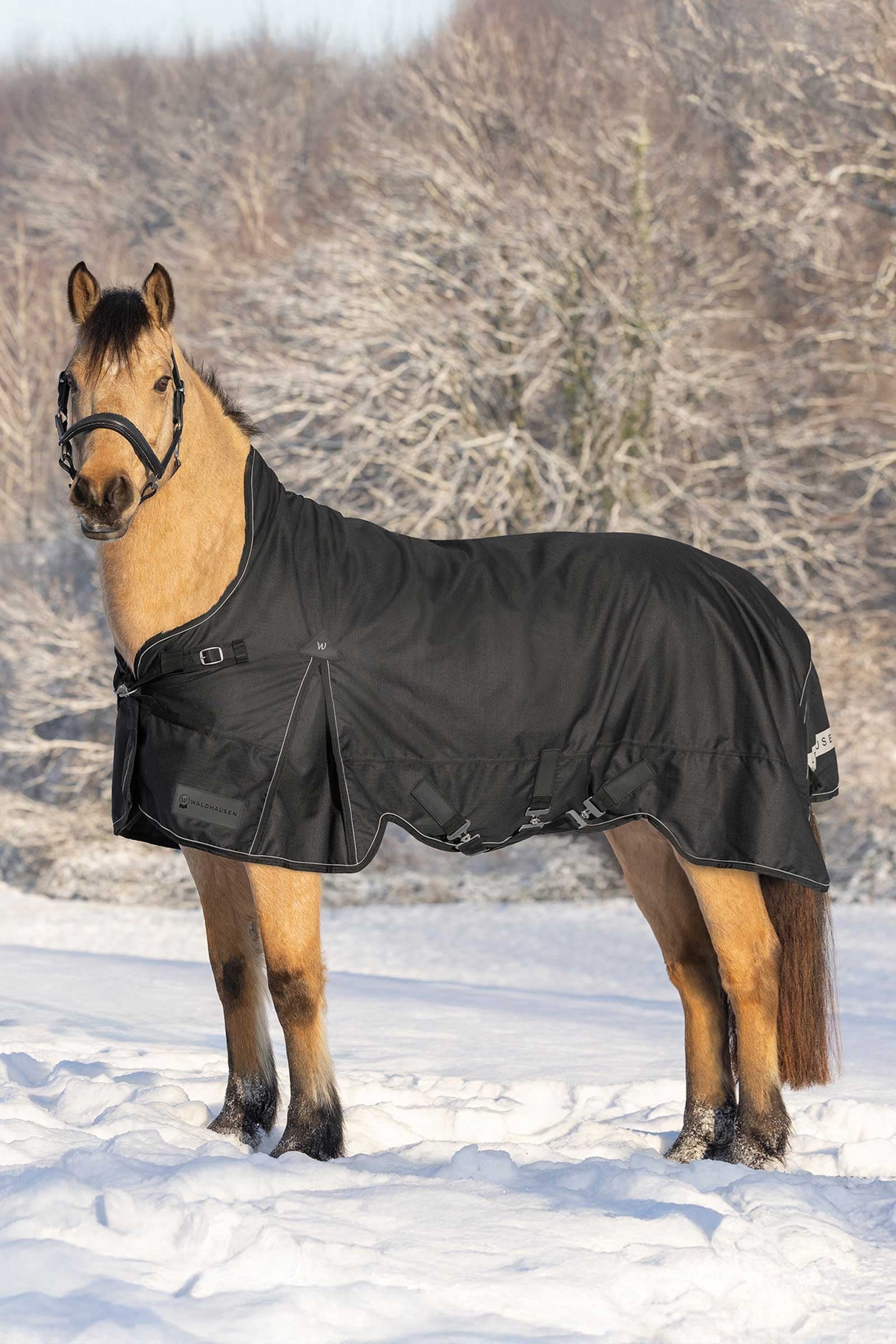 Waldhausen Scandic Turnout Rug With High Neck, 200g Horse Rugs