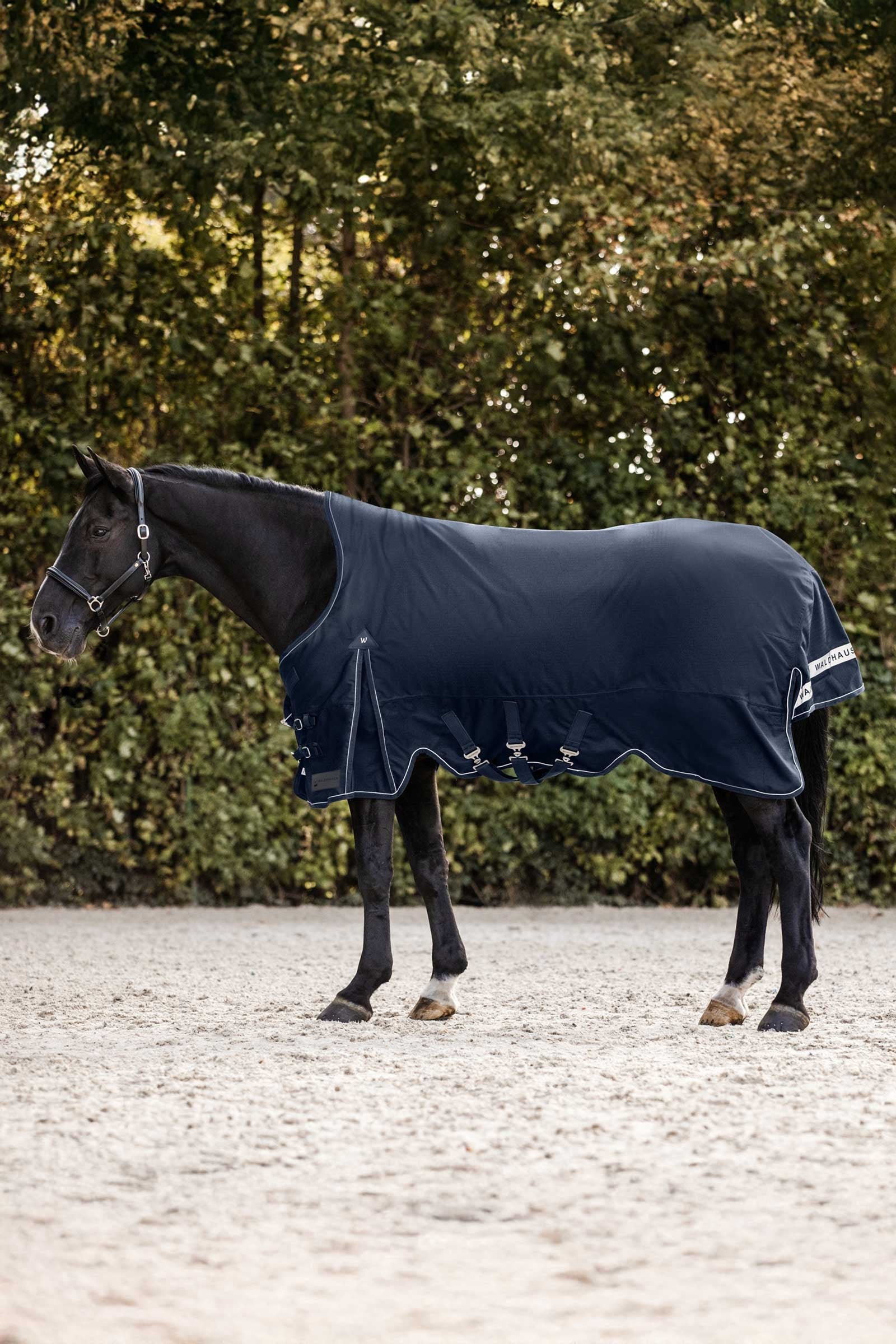 Waldhausen Scandic Turnout Rug With High Neck, 200g Horse Rugs