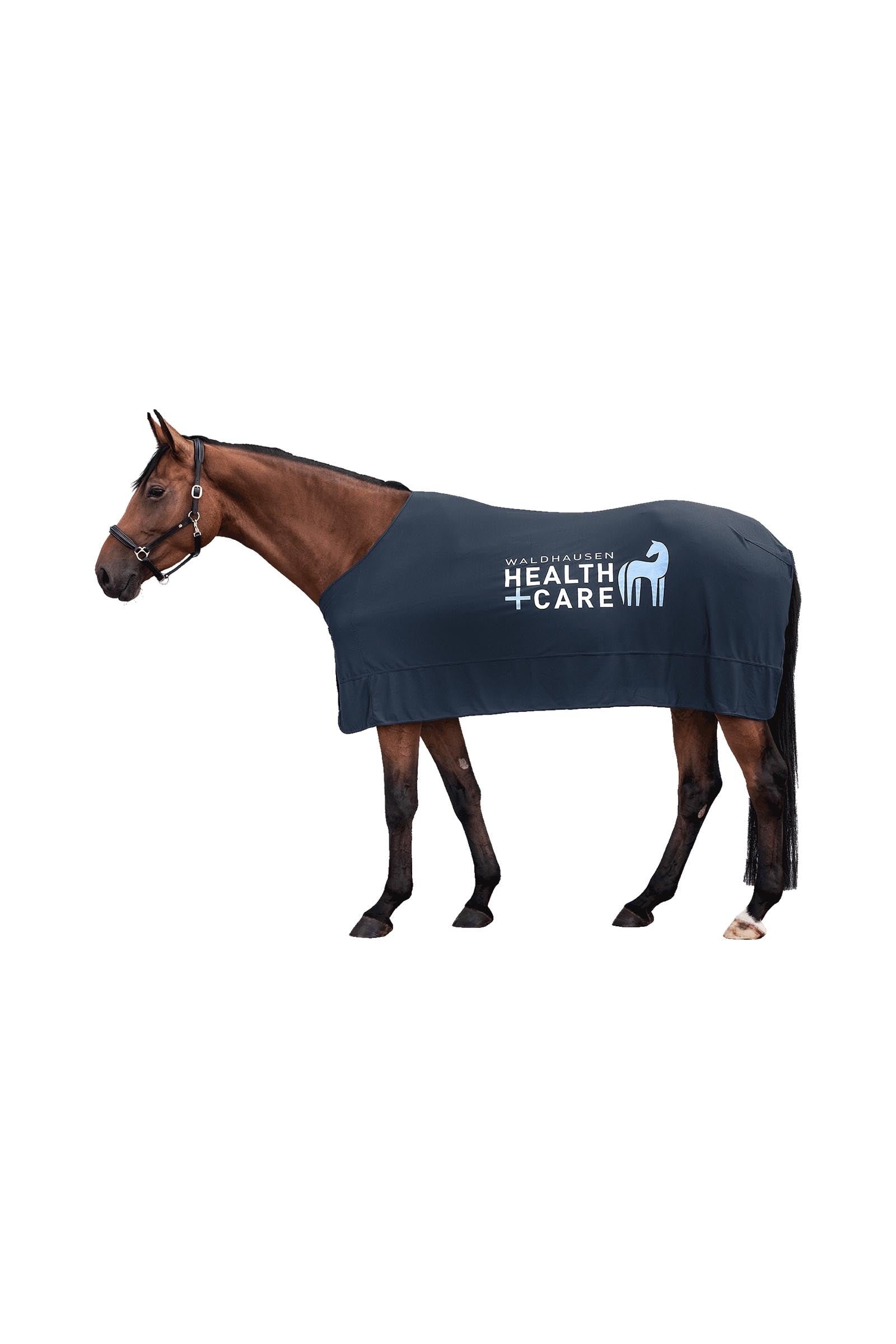 Waldhausen Health & Care Ice Layer Rug Horse Rugs