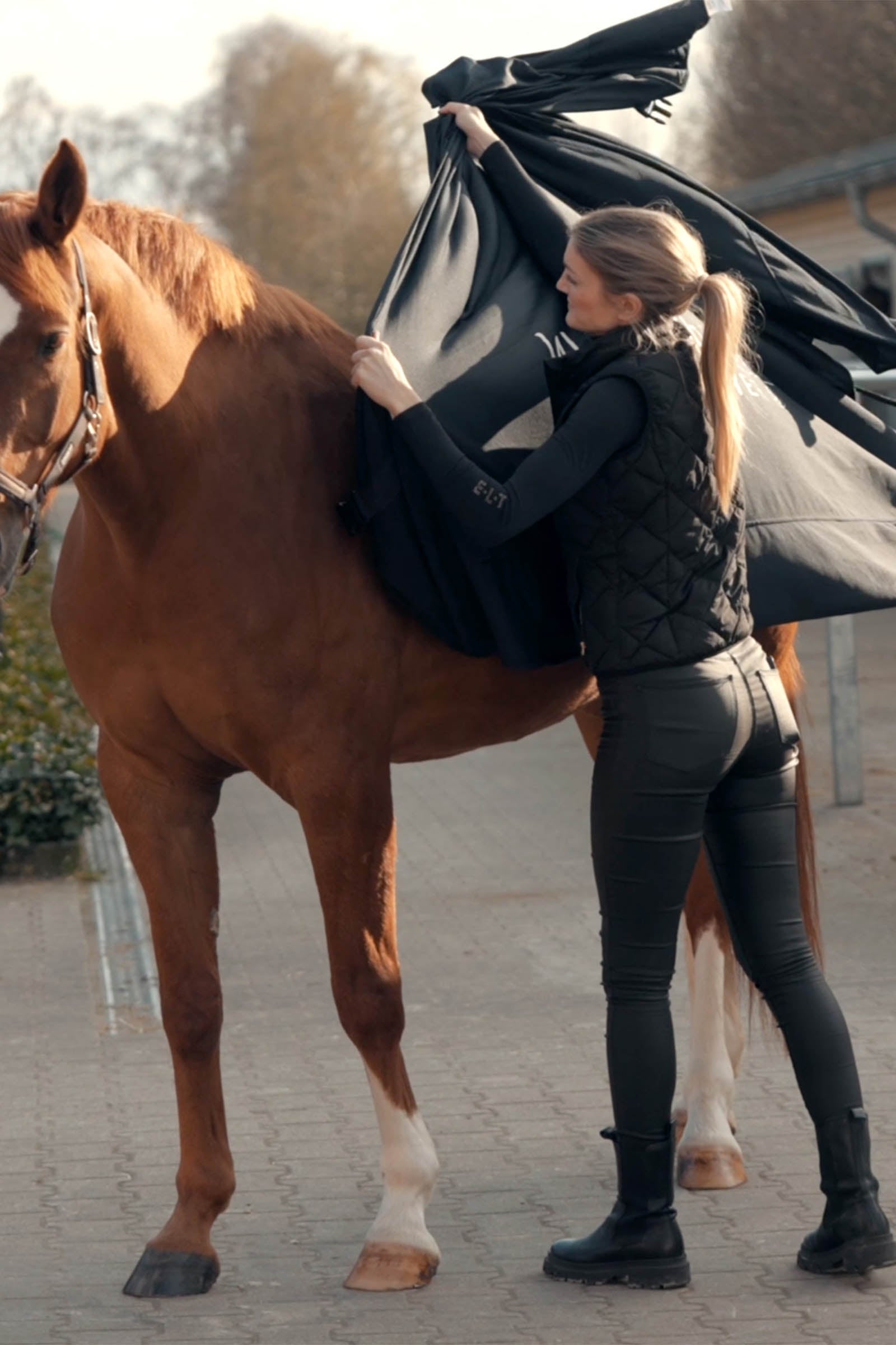 Waldhausen Health & Care Ice Layer Rug Horse Rugs